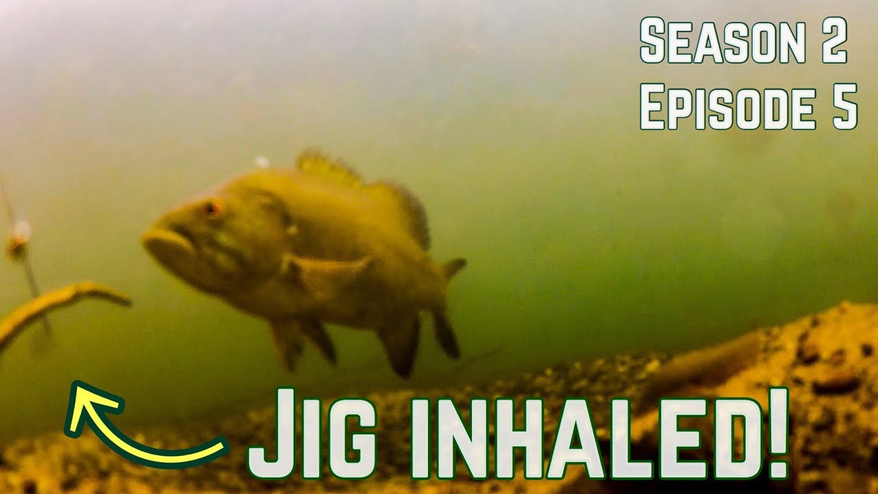 Camera Planted on a Bass Bed Smallmouth Bass vs. Angler! YouTube