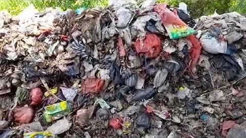 SAMPAH BERBAU DIPENUHI LALAT MENUMPUK DI JALAN