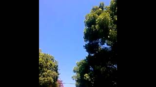 UFO FILES:FINALLY, DAYTIME SIGHTING!