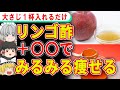 これを入れなきゃ全然痩せない！？ダイエット効果激増のリンゴ酢に入れるべき食材【ゆっくり解説】
