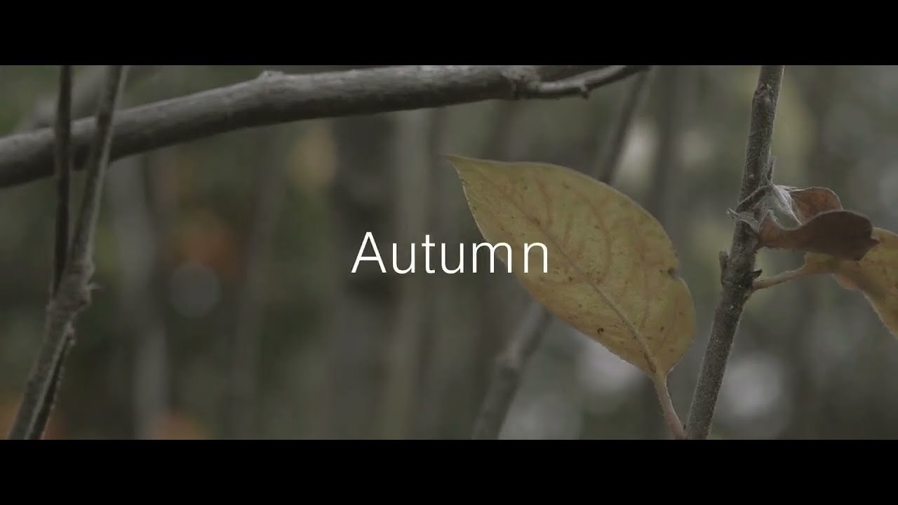 Amazing Color Grading   Before and After  | FATEH Infotech |