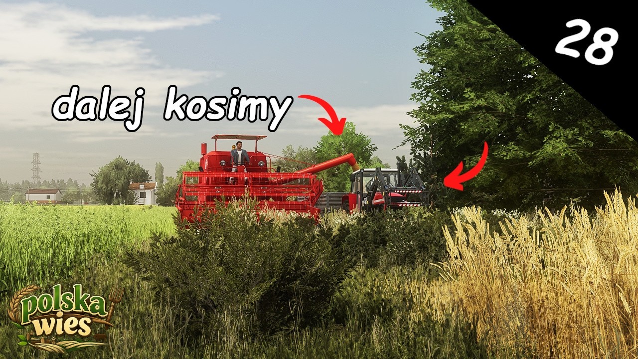 Dalej kosimy przenicę🌱|Opór jest😎| Polska Wieś[28]