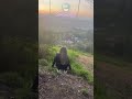 #215 Nice day 😂😂😂 #viral #shorts #fails #funny #failure #wow #jokes2025 #comedy #positive #lol #nice