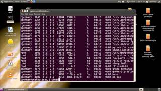 Linux Run Levels (Part 1 of 2) - Ubuntu