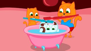 Cats Family en Français  La dent prend un bain Animé 2024 en Français