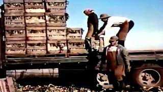 Santa Fe Railway Fresh For Health