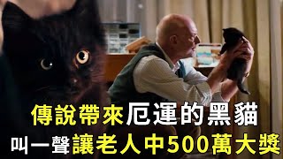 Old man adopts black cat  wins 5M prize despite bad luck myth! [Little Milk Dog Watches]