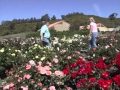 La passion des jardins  documentaire