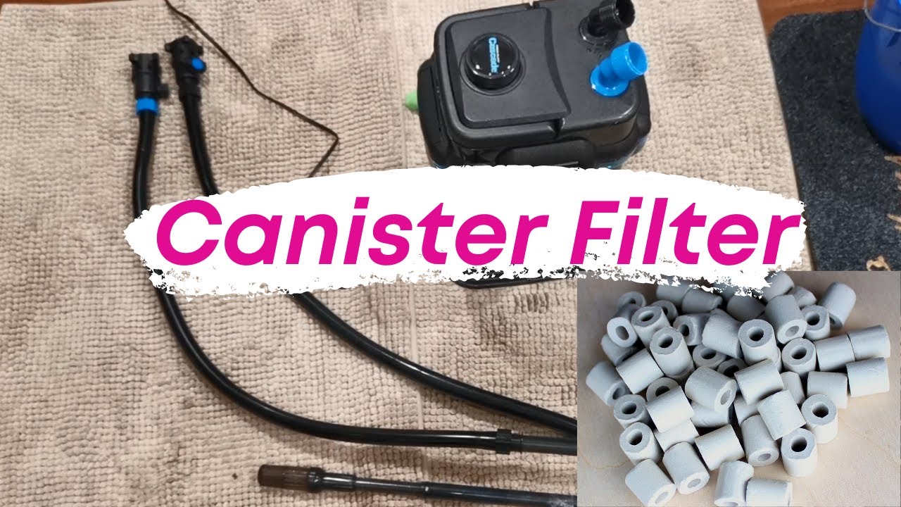 How to Clean Canister Filters? Penn Plax Cascade Canister Filter