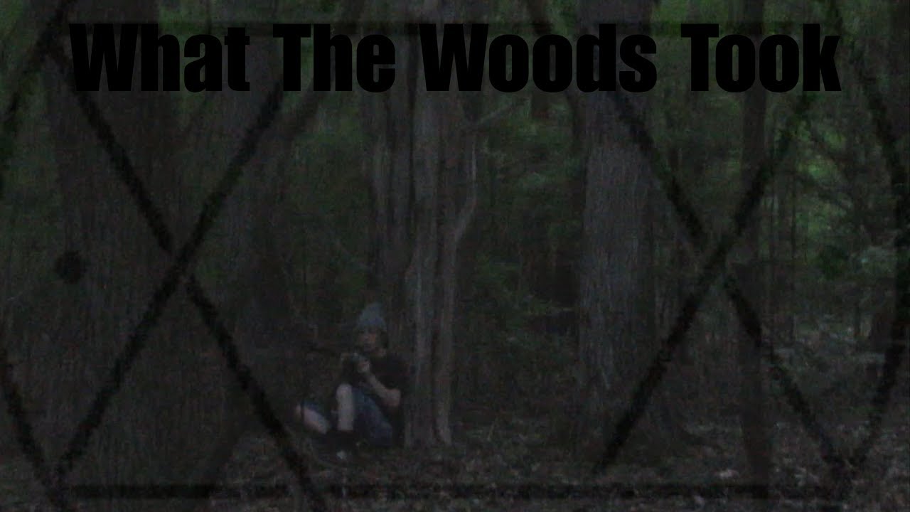 What The Woods Took YouTube
