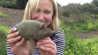 Fantastic treasures found in the Bottle Dump! Searching the Mud with Nicola White