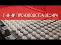 Автоматическая линия производства зефира