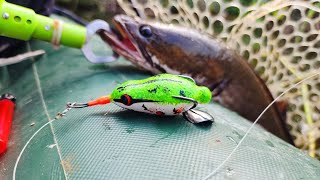 Soft-shell frog lures for difficult and challenging terrain | Ducks - Click screenshot 3