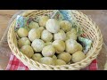 GNOCCHI di PANE crema di parmigiano gnocchi di pane salsa parmigiano