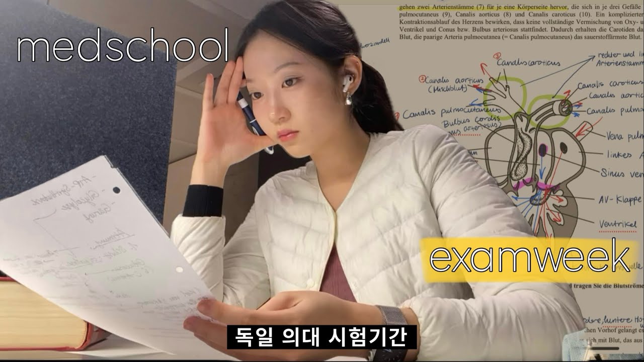 Возможен ли двухдневный курс подготовки? Экзаменационная сессия для студентов-медиков в Германии.