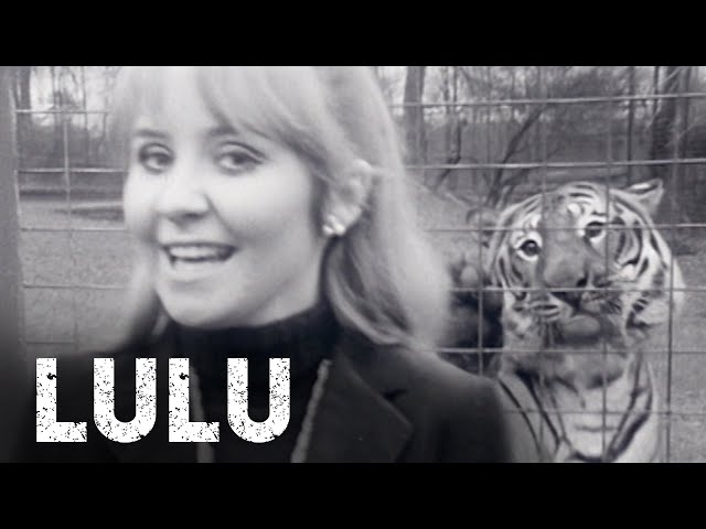 Lulu - I'm A Tiger