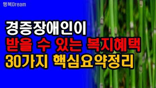 경증장애인이 받을 수 있는 복지혜택 30가지 핵심요약정리