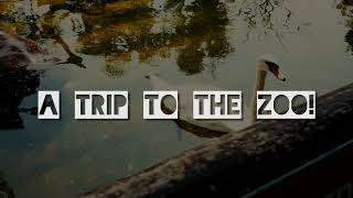 A Trip to the Limassol Zoo (Limassol Theatre Arts School)