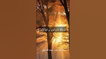 الشيخ محمد عبد الوهاب الطنطاوى --نوادر روعه اجمل ما قراء ممتاز جدا نادر رحمه الله #تلاوات