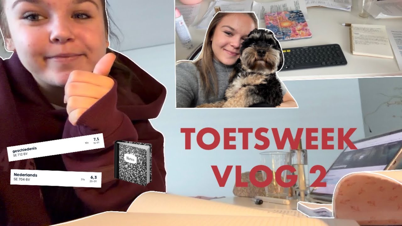 Toetsweek vlog 2 ~ realistische study vlog (vwo 6)✏️