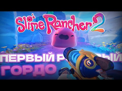 Видео: ПЕРВЫЙ РОЗОВЫЙ ГОРДО! МИЛЫЕ СЛАЙМИКИ. (Slime Rancher 2)