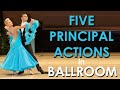 5 principal actions in Ballroom Dancing | Ballroom Technique