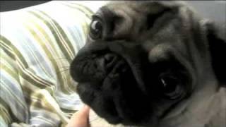 ONE FINE DAY - 23.10.: Köln - Werkstatt