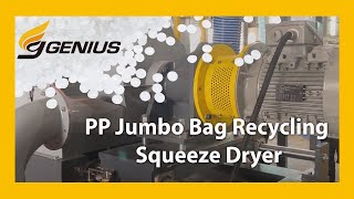 Jumbo bag Recycling - DW-series plastic squeeze dryer | Genius Machinery