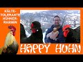 E124 Kältetolerante Hühnerrassen im Winter- HAPPY HUHN - robuste, abgehärtete Hühner für die Kälte