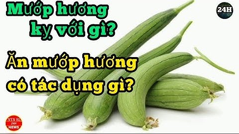 Sức khỏe: Mướp hương kỵ với gì? ăn mướp hương có tác dụng gì? NTN SL