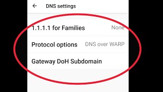 DNS Settings In 1.1.1.1 App in Android Mobile screenshot 3