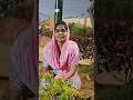 ||అద్భుతం చేయుమయా సాంగ్|| #Trending Chiristian సాంగ్ #like #share #subscribe