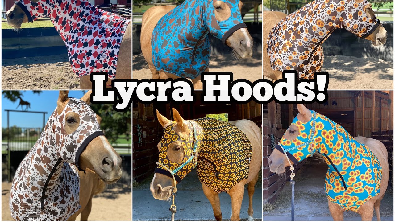 Horse Slinky Hood Pattern