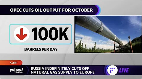 EU energy crisis worsens as Russia indefinitely cuts natural gas supply - DayDayNews