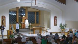 Daily Mass July 14, 2026