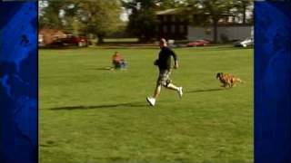 Police Dogs Hit WDM For K-9 Competition