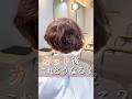 ここからオシャレになれるの？ #美容室 #脱縮毛矯正 #くせ毛カット #くせ毛を活かす #マッシュショート #東京大塚