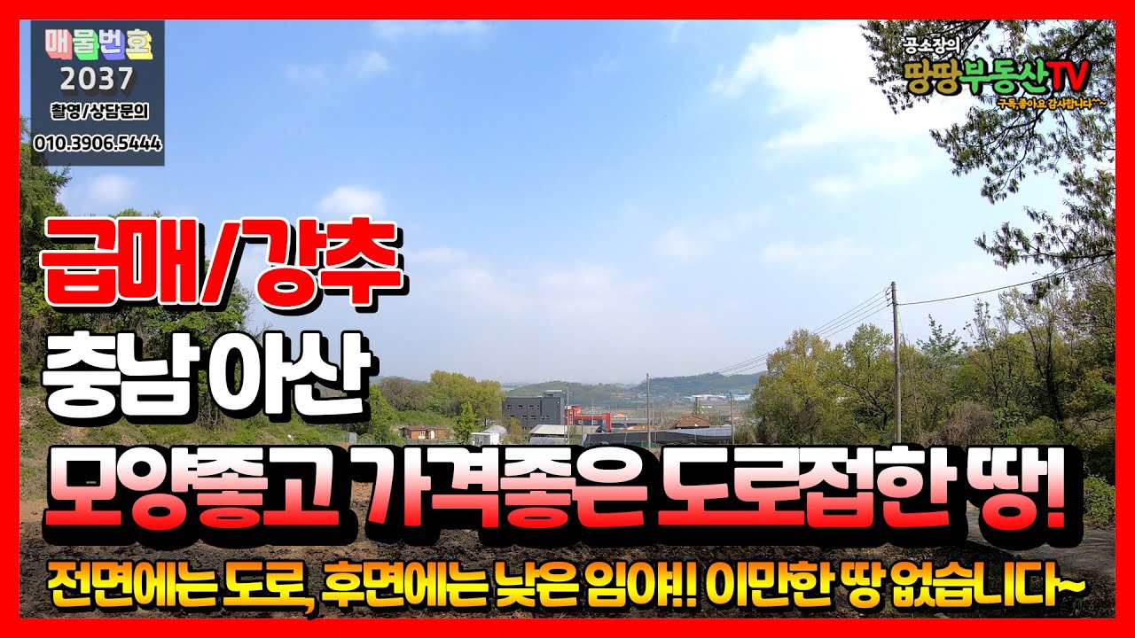 (계약완료)[도로접한 싸고 이쁜 토지] 충남 아산시 음봉면 소동리에 정~말 좋은 땅이 떴다! 모양도 좋고 위치도 좋은데 가격까지 싼게 말이 되는거야..?/아산부동산/땅땅부동산TV