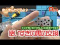 【修理】ネタがないので・・・DSLiteの使いすぎてダメになった黒いポッチを交換していきます！あんまんはふて寝しています！【ジャンク・部品交換・リペア・フェレット】