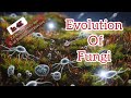 Evolution of Fungi: From Aquatic Microbes to Mushroom Kingdom