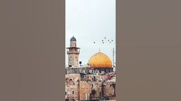 سورة آل عمران {الآية 53} بصوت الشيخ سعد الغامدي ❤️