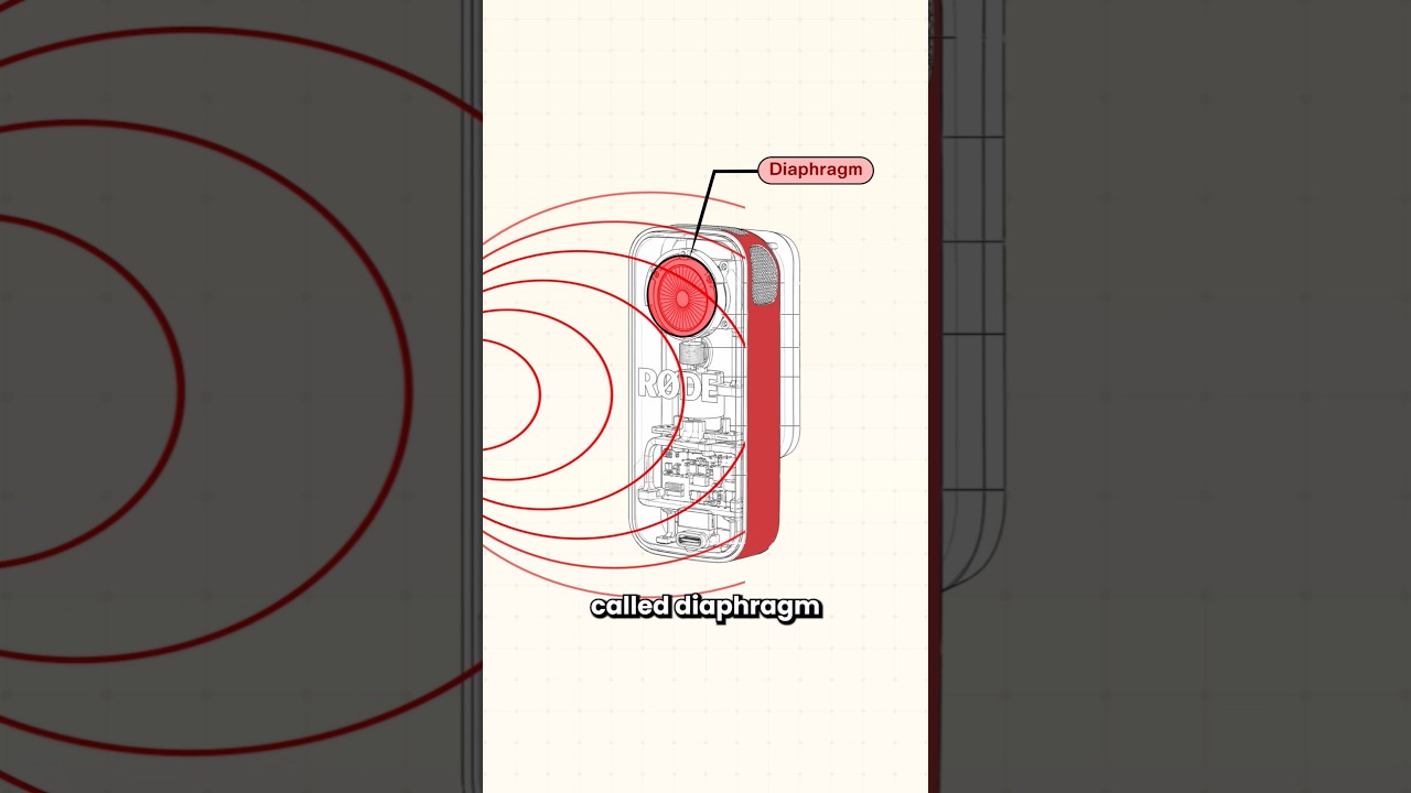 🎙️How MICROPHONES Work