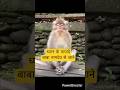 ध्यान के फायदे #youtubeshorts​ #trending​ #trendingshorts​ #yoga​ #mudra​ #shorts​ #virelshorts​