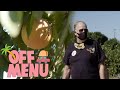Lucas visits a citrus farm in Riverside to see the effects of the pandemic | Off Menu