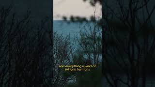 Yann’s new single, Arne, was inspired by Norwegian philosopher Arne Næss and Deep Ecology. #synth