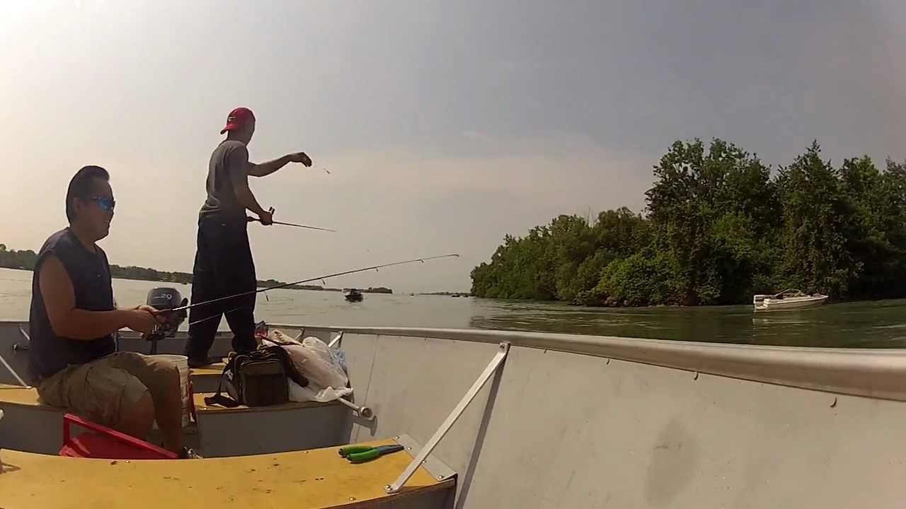 Michigan Weekly Fishing Report Today