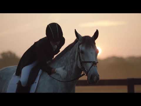 High Hopes|| equine music video