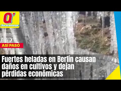 Fuertes heladas en Berlín causan daños en cultivos y dejan pérdidas económicas