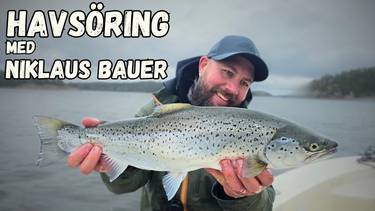 Havsöring i Stockholms Skärgård - med Niklaus Bauer - Fiske med gäster ENG + SWE SUB