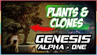 Genesis Alpha One: Plants (O²) and habitable Planets